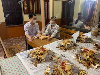 Nhà Thuốc Đông Y Gia Truyền Quảng Sinh Đường