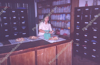 Nhà Thuốc Đông Y Phan Đình Hợi