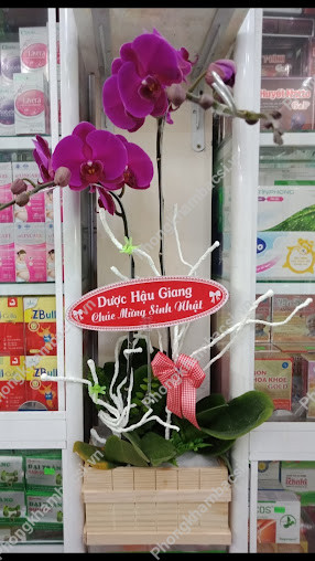 Nhà Thuốc Hằng