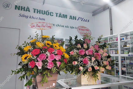 Nhà Thuốc Tâm An Plus
