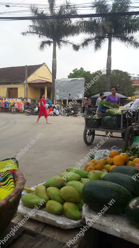 Nhà Thuốc Thuý Quỳnh