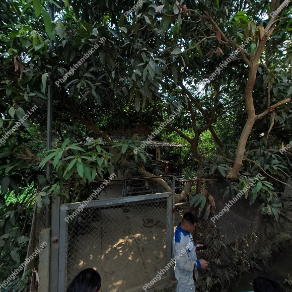 Nhà Thuốc Tiến Đạt