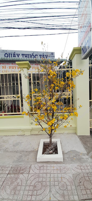 Phòng khám Da Liễu - 11 Nguyễn Văn Tiếp