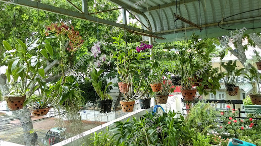 Phòng Chẩn Trị Đông Y Tế Mỹ Đường