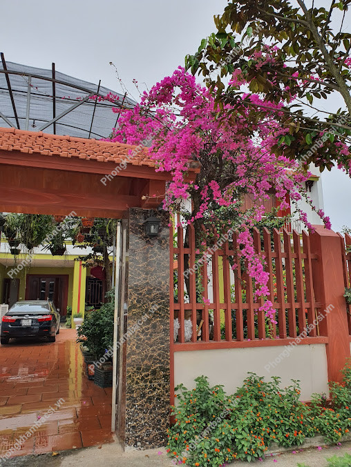 Phòng Khám Mắt - BS Nguyễn Quốc Dân