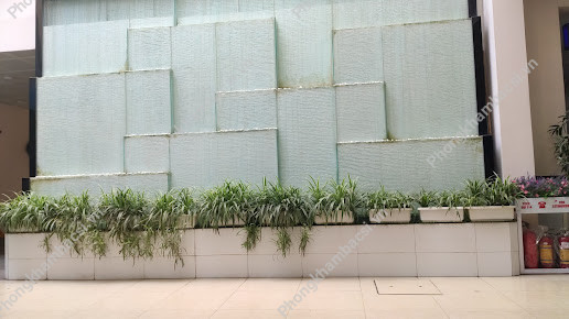Phòng Khám Đa Khoa - 6 Nguyễn Tri Phương, Minh Khai, Quận Hồng Bàng