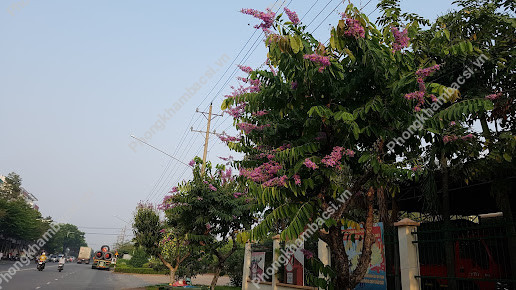 Phòng Khám Đa Khoa Trần Đức Minh