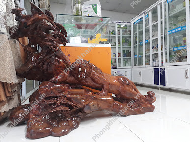 Phòng Khám Nha Khoa - 14 Trần Nguyên Hãn, Liên Bảo