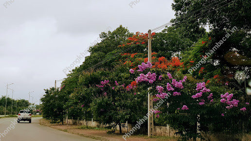 Phòng Khám Nhi Sơn Hương