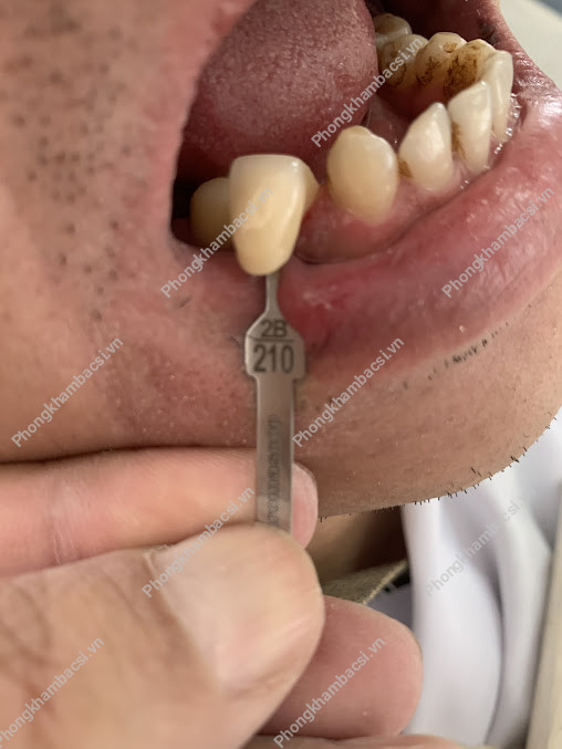 Phòng Khám Răng Hàm Mặt - 192 Tô Hiệu, Hoà Minh, Quận Liên Chiểu