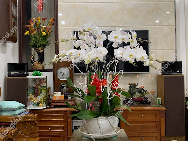 Phòng khám Sản khoa - BS.Ths Nguyễn Minh Trung