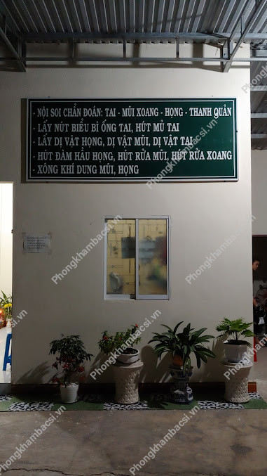 Phòng Khám Tai Mũi Họng - 20 Trần Nhân Tông, Thị trấn Tân Sơn