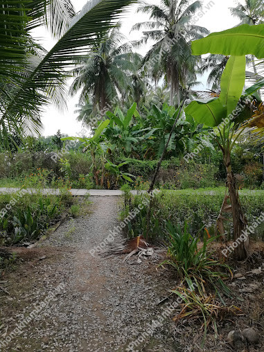Nha Khoa Hữu Năng