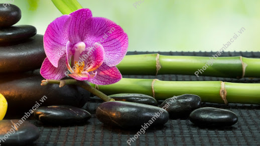 Spa Kim Ngân
