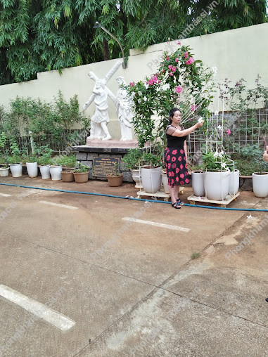 Trung Tâm Da Liễu Đắk Lắk