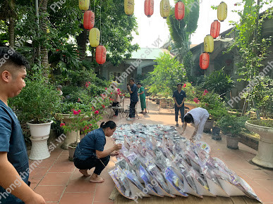 Trung tâm nuôi dưỡng chăm sóc người cao tuổi Phù Đổng