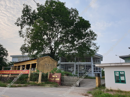 Trung tâm phòng chống HIV/AIDS