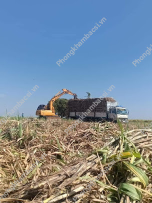 Trung Tâm Y Tế Huyện Phú Thiện