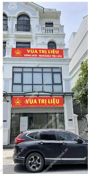 Vua Trị Liệu