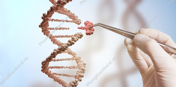 Xét Nghiệm ADN - NIPT Trường Chinh