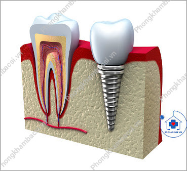 Dịch Vụ Xét Nghiệm Tận Nhà - 38 Trương Quốc Dung, P.8, Phú Nhuận