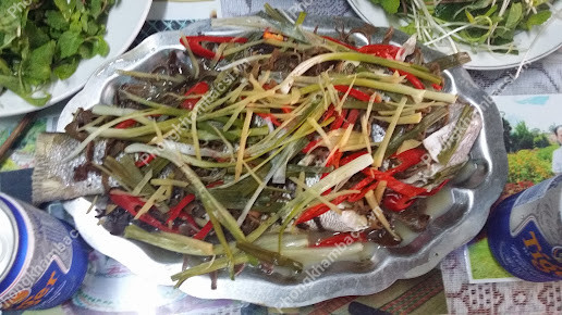 Hình ảnh trạm y tế xã Bình Đông, huyện Bình Sơn