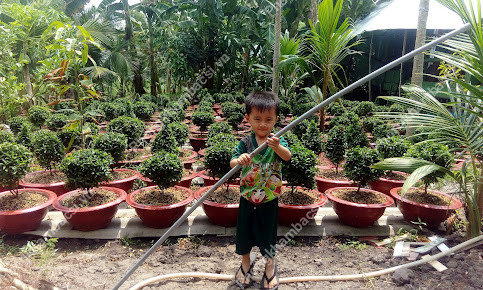 Trạm y tế xã Bình Phú, huyện Châu Phú,An Giang