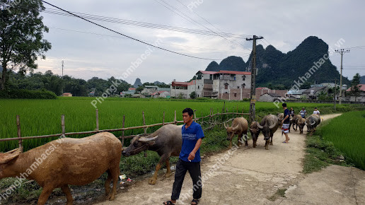 Trạm y tế xã Cao Chương, huyện Trùng Khánh,Cao Bằng
