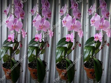Trạm y tế xã Đại Cương, huyện Kim Bảng,Hà Nam