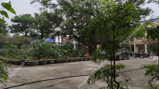 Trạm y tế xã Lập Lễ, huyện Thuỷ Nguyên,Hải Phòng