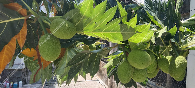 Trạm y tế xã Mỹ Xương, huyện Cao Lãnh,Đồng Tháp