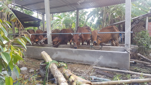 Hình ảnh trạm y tế xã Tân Phú, huyện Châu Thành