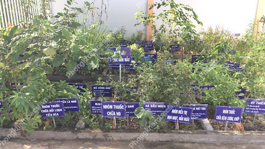 Hình ảnh trạm y tế xã Thanh Hòa, thị xã Cai Lậy
