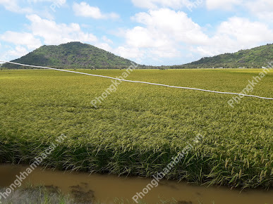 Trạm y tế xã Thổ Sơn, huyện Hòn Đất,Kiên Giang
