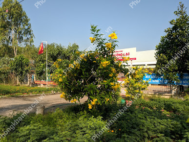 Trạm y tế xã Thường Lạc, huyện Hồng Ngự,Đồng Tháp