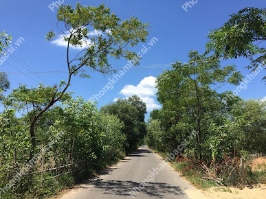 Trạm y tế xã Triệu Lăng, huyện Triệu Phong,Quảng Trị