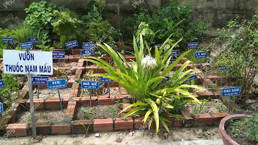 Trạm y tế xã Vạn Phú, huyện Vạn Ninh,Khánh Hòa