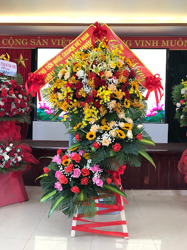 Phòng Khám Mắt - Bs Thu