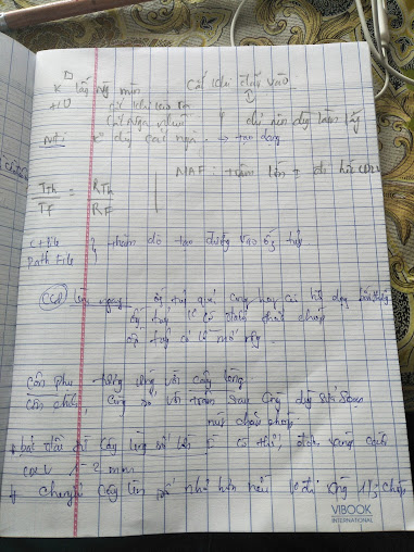 Nha Khoa Mỹ