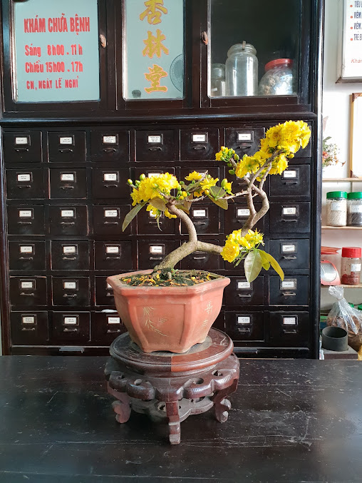 Nhà Thuốc Đông Y Hạnh Lâm Đường