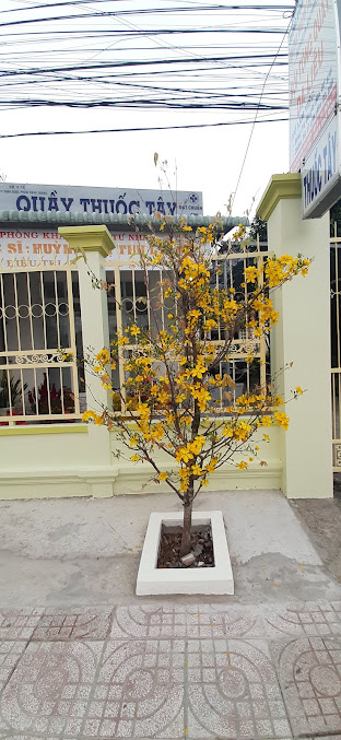 Phòng khám Da Liễu - 11 Nguyễn Văn Tiếp