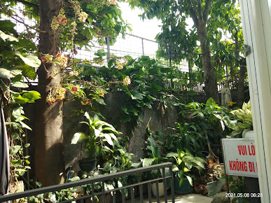 Phòng Khám Mắt - BS Lâm Anh Minh
