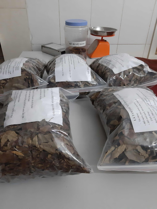 Phòng Khám Chuyên Khoa Y Học Cổ Truyền An Đức