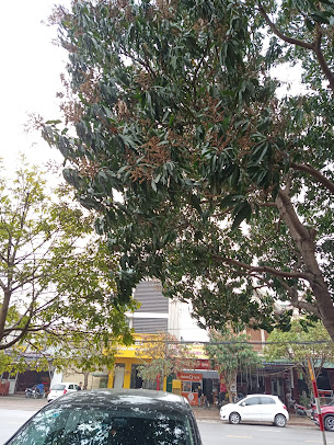 Phòng Khám Phụ Sản Hồng Ngọc
