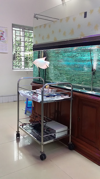 Phòng Khám Răng Hàm Mặt Bình Minh