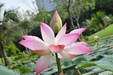 Phòng Khám Tâm Lý - Tâm Thần Kinh Anh Thy